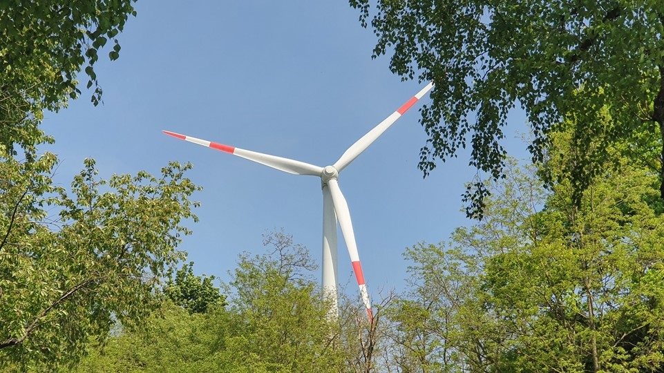 wind turbine rotor blades