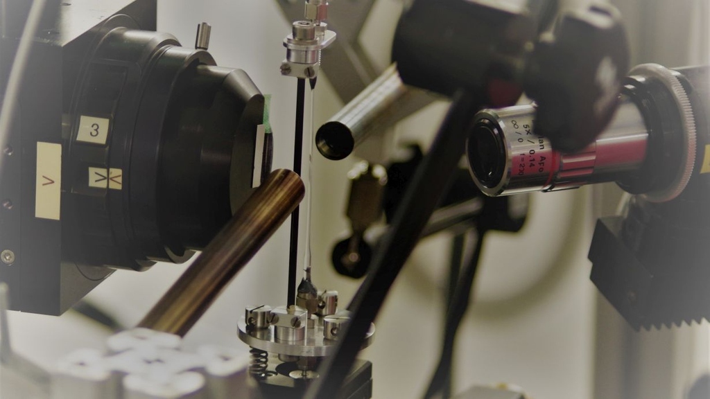 Operando X-ray spectroscopy shows what happens in each single part of a working catalyst.