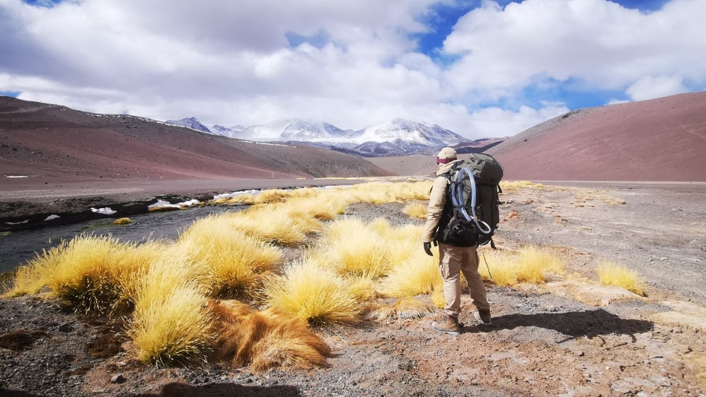 Hiker with backpack in a desert landscape with mountains and yellow grass.