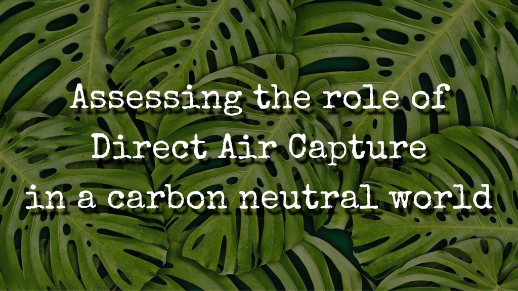 Assessing the role of Direct Air Capture in a carbon neutral world