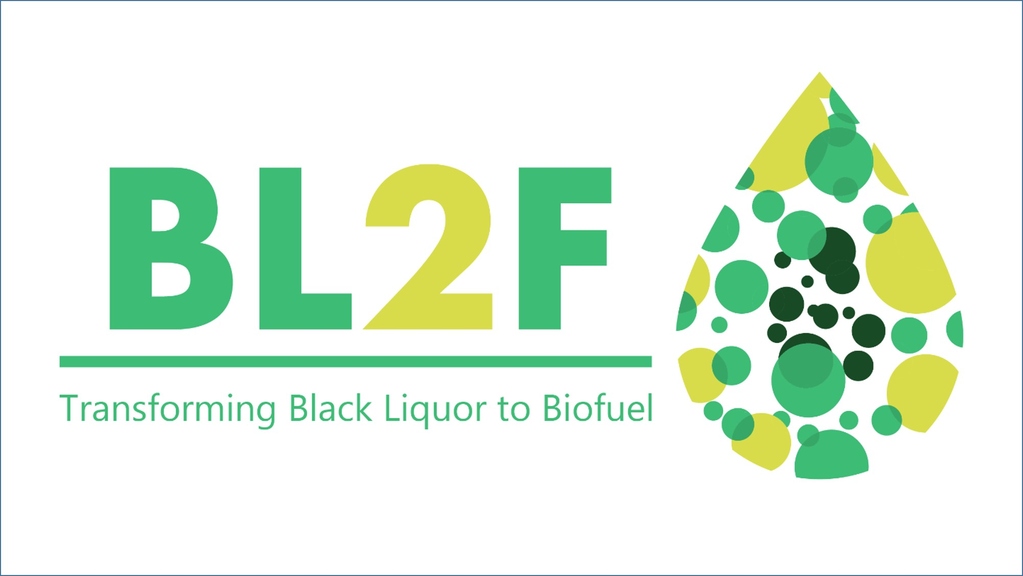 Black Liquor to Fuel by Efficient HydroThermal Application integrated to Pulp Mill