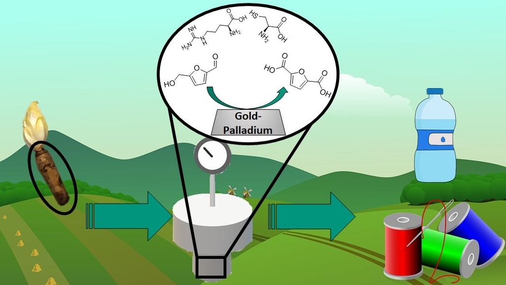 Bioeconomy: Alternative Sustainable Feedstocks from Biomass Can Replace Fossil Raw Materials  KIT Researchers Investigate How Substitutes for Fossil Raw Materials Can be Obtained from Agricultural Waste