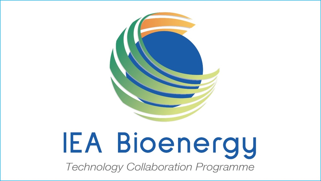 Dr.-Ing. Axel Funke will lead IEA Bioenergy Task 34 for another three years from 2022-24