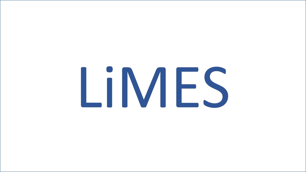  LiMES - Lithium Ion Mobility in Electrolytes and Separators